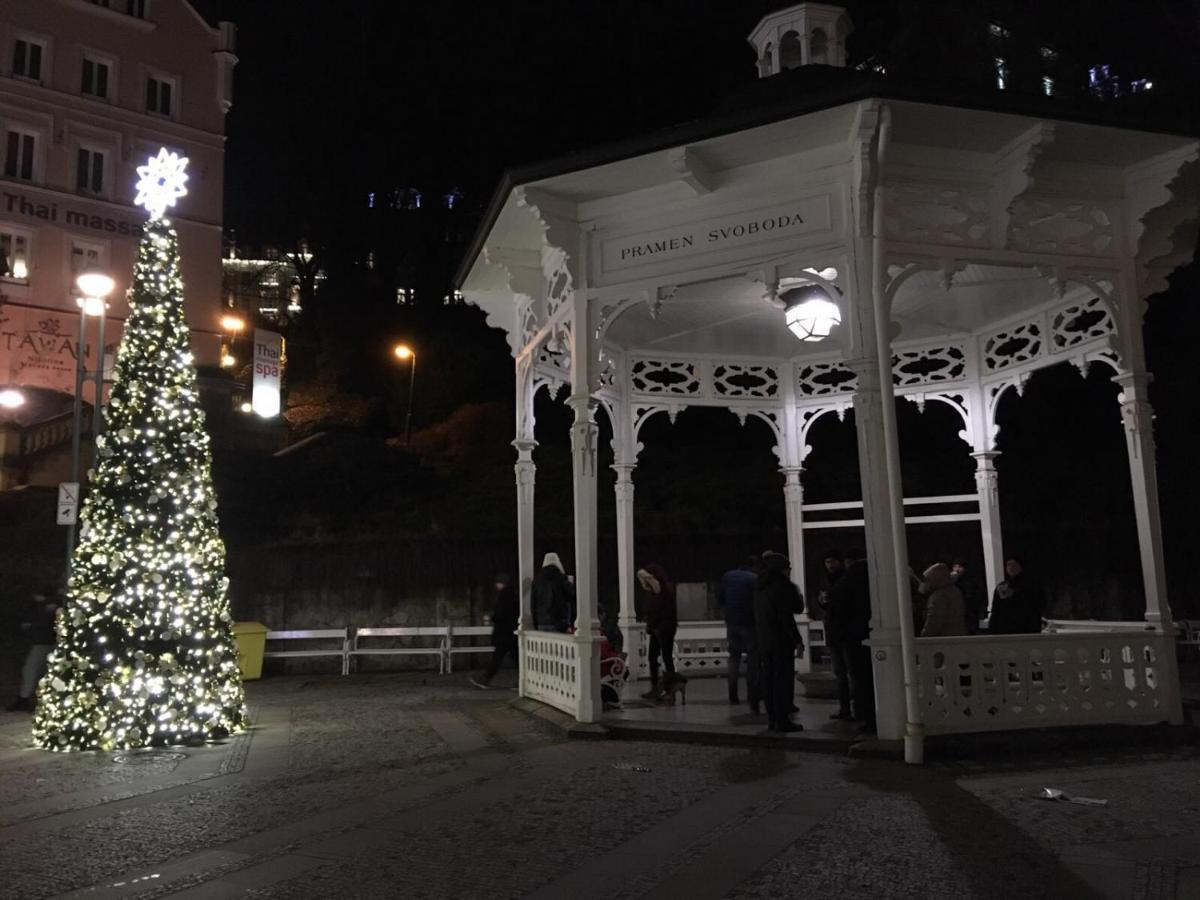 Elvíra Karlovy Vary Exterior foto
